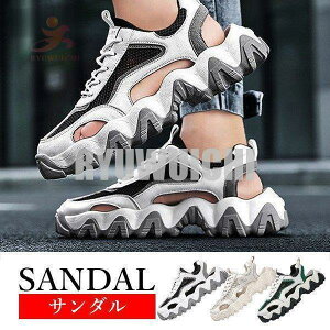 T_ Y X|[cT_  ₷ bV 傫TCY AEghA p ~ nCLO r[`T_ Ȃ ɂȂ