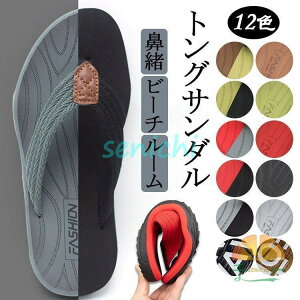 gOT_ Y fB[X @T_ r[`T_ T_ r[` [V[Y h  JWA C