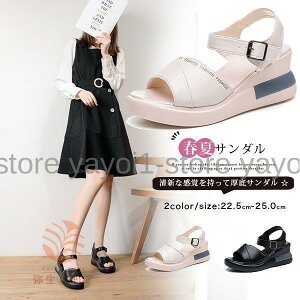 T_ i[XT_ r[`T_ EGbWT_ ItBXT_ Ȃ d ʋC fB[X ؂