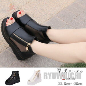 T_ fB[X ~[ V[Y q[T_ C  傫TCY ɂȂ Xb| C~[ ؂ ₷ r l PU `[