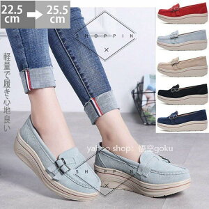 JV fB[X ؂ JVV[Y  JV[t@[ V[Y 5cm {v t y XEF[h C ʋC  킢 _炩 