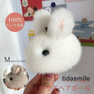 obO`[ t@[`[ ETM  ӂӂ  || AtHbNXt@[{[ obO |[` L[z_[ g fB[X