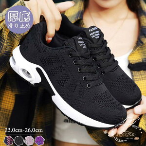 Xj[J[ StV[Y X|[cV[Y jO EH[LOV[Y fB[X L   y  ʋ ~ ^C 