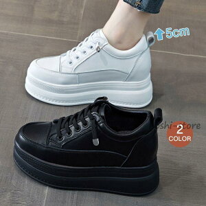 r Xj[J[ fB[X Xb| [XAbv Cq[   EH[LO nCq[ tďH~