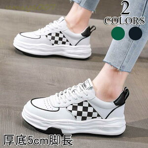 Xj[J[ fB[X fB[XXj[J[  EH[LOV[Y GA[NbV y ^C AEghA ʋC ʊw ʋ22.5cm-25.0cm