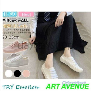 CV[Y fB[X ~  Xj[J[ CV[Y Y TChSA JC V[g h ₷ 傫TCY