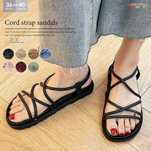 T_ fB[X X|[cT_ fB[XT_ T}[ ~[ [q[ r[`T_ ~ ₷ ʋΒʊw Ȃ tbg