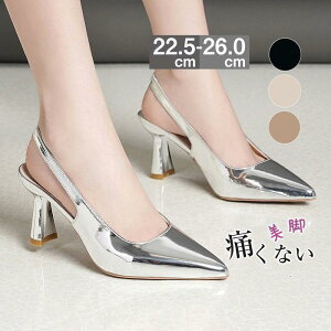 pvX Xgbv  ₷ T_ ɂȂ Vo[ Te 傫TCY  w 킢 r  Ă΂