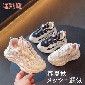 qC Xj[J[ j̎q qp tďH ^C ʋC ~ JWAV[Y WjA jZbNX jOV[Y  ^ ʊw