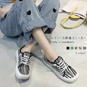 Xj[J[ fB[X tbgV[Y ^ Xj[J[ XNGAgD [u LpXV[Y 璹 [Jbg Xj[J[  y`