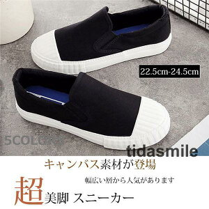 Xb| fB[X Xj[J[ TChSA [Jbg    LoX y  H~ ؂ tbgV[Y C XbvI