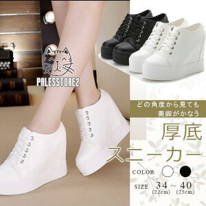 Xj[J[ fB[X PU  Vv  Cq[ [XAbvV[Y ҂ݏグ ʊw ʋ r JWAV[Y S2F 傫TCY