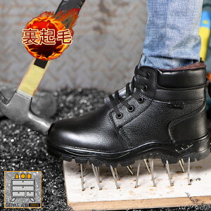 SC Xj[J[ nCJbg ƌC N h ϖ E₷ Ȃ | h ݔ oR lC 30 