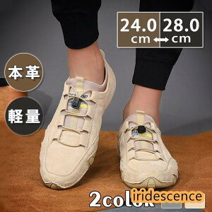 Xj[J[ Y EH[LO JWAV[Y {v [N Xb| C ʊw ʋ n t H ~ AE^[ WMO St