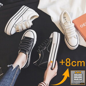 2025NEW +8cm Xj[J[ fB[X V[NbgV[Y  }WbNe[v V[Y グ p X|[c C グ  JWA