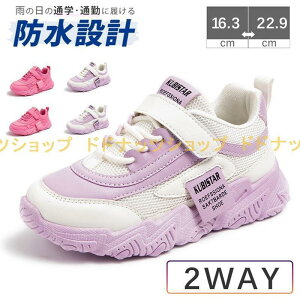 J̓S qC Xj[J[ 2WAY ^ }WbN xN ʋC y JWA ̎qp h LbY WjA q ^C  ʊw