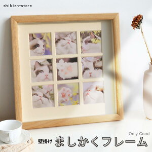 ܂ tHgt[ 9 ؐ Ǌ| ʐ^