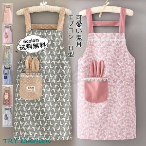 Gv fB[X H^ e ۈm Ɩp Ǝ X^btGv  Lb` JtF e@ T DIY hV̓ ̓ v[g