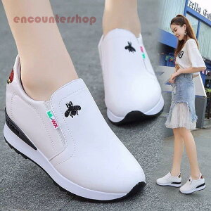 Xj[J[ C Cq[ nCJbg EH[LOV[Y rfB[X JWAV[Y ₷