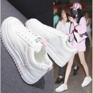 Xj[J[ fB[X  40   傫TCY  JWA [Jbg [XAbv ()