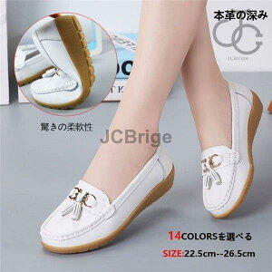 pvX fB[X RtH[gV[Y vC  {v rbg^Cv ʋC h\[ q[t@[ y ɂ V 傫TCY