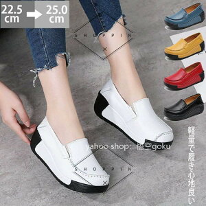 JV fB[X ؂ JVV[Y  t y 5cm {v C ʋC  JV[t@[ V[Y 킢 _炩 K 傫TCY