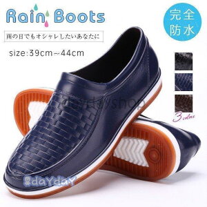 CV[Y Cu[c Y ₷ h C amp j rWlXV[Y ~J΍