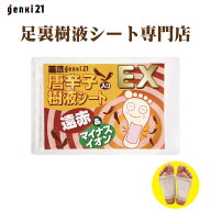 父の日ギフト　足裏シート　52枚入　楽天18年連続No.1　デトックス むくみ 解消 翌朝スッキリ！快足　安…