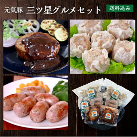 元気豚 三ツ星グルメセット【送料込み／除外地域あり】【冷凍食品】【お取り寄せ】【詰め合わせ】【ギフト】【お中元】【お歳暮】