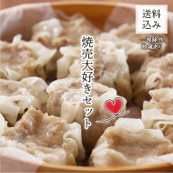 ＜大粒肉焼売が無添加にリニューアル＞焼売大好きセット【一部地域を除き送料込み】【千葉県産豚肉 三元…