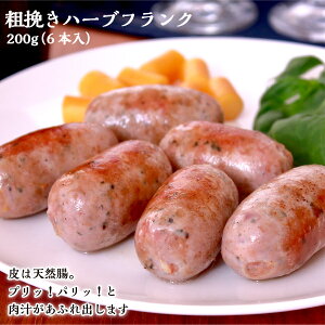 C e҂n[utN 200gi6{jytYؓ O ⓀHi  Y tNtg ؒ Mtg BBQ AEghA OsO `  y ܂ r[ 