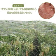 鳥よけネット ネット 10m 鳥よけ 園芸 ガーデニング ゴミ置き場 鳥獣 対策 鳥 被害 ベランダ バルコニー …