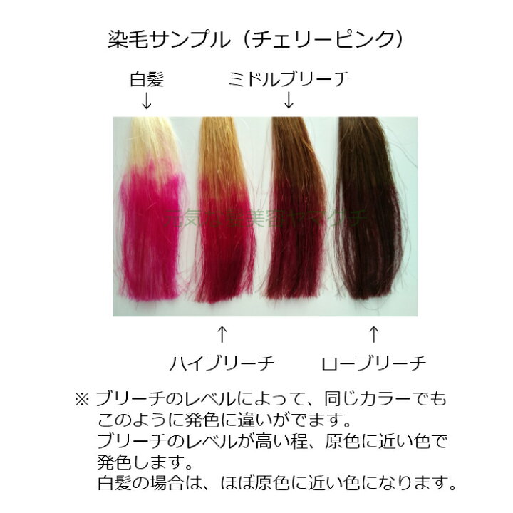 楽天市場 エルコス キュプアス カラーバター 白髪染め ヘアカラー トリートメント ノンジアミン 低刺激 男性用 女性用 黒 グレー 茶 緑 レッド ピンク 黄 オレンジ 青 紫 全16色 各0g 選べる3本セット 元気な髪 美容ヤマグチ楽天市場店