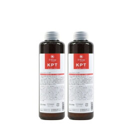 ダメージヘアトリートメント 美容室 専売品 エルコス EセラップKPT 200ml 2本セット