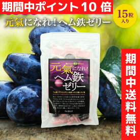 楽天市場 鉄分 サプリ 妊婦の通販