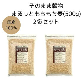 レターパック【まるっともちもち麦 500g 2袋セット】ライスアイランド 大麦 穀物 食物繊維 国産100%