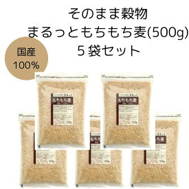 【まるっともちもち麦 500g 5袋セット】ライスアイランド 大麦 穀物 食物繊維 国産100%