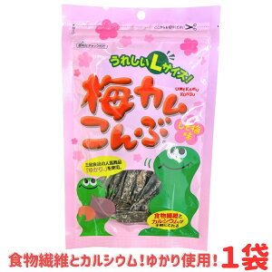 [ցy~J LTCY 30g 1܁z~ cz kCY H@ OHi 䂩 JVE