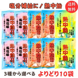送料無料【選べる10袋セット 熱中飴 レモン塩味 梅塩味 夏みかん味】井関食品 地釜本造り 熱中症対策 塩分補給