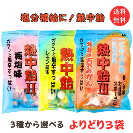 メール便 送料無料【選べる3袋セット 熱中飴 レモン塩味 梅塩味 夏みかん味】井関食品 地釜本造り 熱中症対策 塩分補給