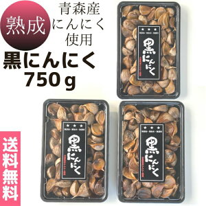 X[p[SALE ԒX܃|Cg5{  [ցynɂɂ 750g(250g×3)z12`3Ŗ3 XY@Y@Y@@ቷn