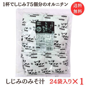 X[p[SALE ԒX܃|Cg5{  [ցŷ݂݂` 24p 1܁zƖp g[m[ Ij`  C_Y