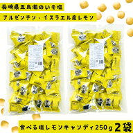 メール便【食べる塩レモンキャンディ2袋セット　250g×2袋】 塩 塩分 塩分補給 クランチキャンディ 松屋…