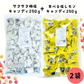 お買い物マラソン 期間中店舗ポイント2倍 メール便【食べる塩レモンキャンディ250g・サクサク梅塩キャンディセット250gセット】 塩 塩分 塩分補給 クランチキャンディ 松屋製菓 熱中症 暑さ対策 梅 レモン 飴