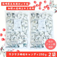 送料無料 メール便【サクサク梅塩キャンディ 250g×2袋セット】塩 塩分 塩分補給 クランチキャンディ 松…