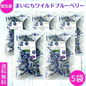 送料無料【まいにちワイルドブルーベリー 142g×5袋セット】ドライフルーツ ブルーベリー 個包装 アメリカ産 タクマ食品
