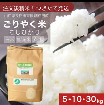 楽天市場】コシヒカリ 30kg 山口県の通販