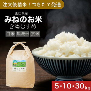 玄米 きぬむすめ 30kg」の人気商品一覧 | 安い商品を通販サイトから 