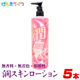 化粧水 大容量 さっぱり 全身 潤スキンローション 500ml 5本セット ダイイチコスメティック