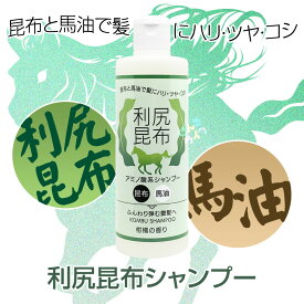 楽天市場 シリコン 入り の シャンプーの通販